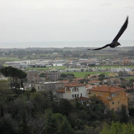 Al Castello Bed and Breakfast Tarquinia Εξωτερικό φωτογραφία